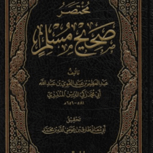 شرح مختصر صحيح مسلم